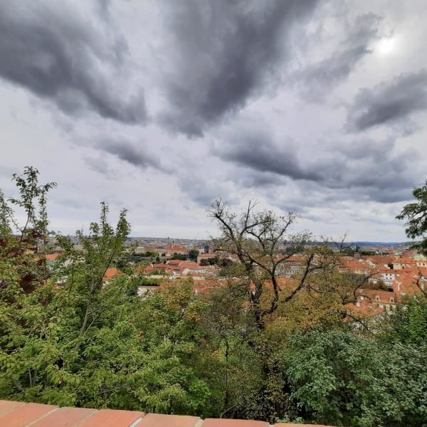 praga (12)
