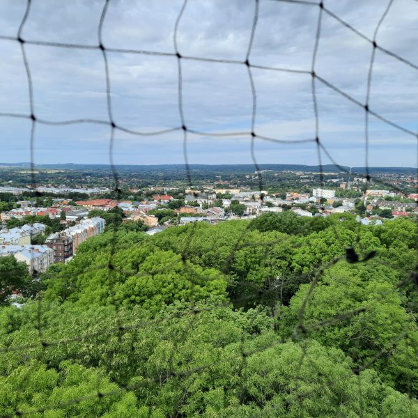 roztocze (2)
