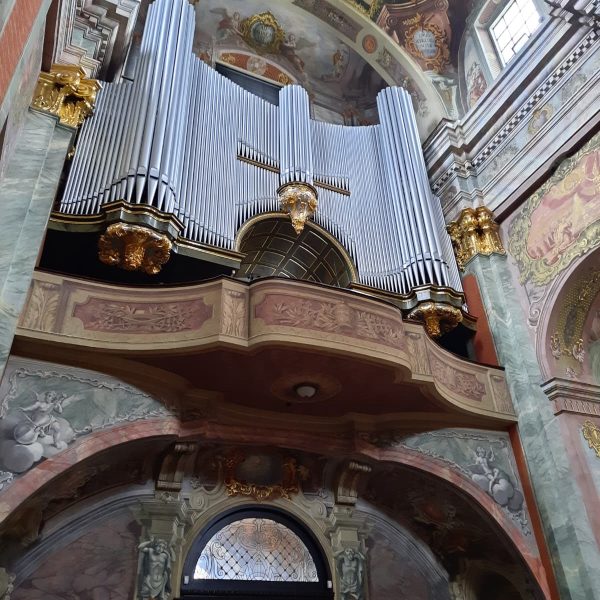 roztocze (30)