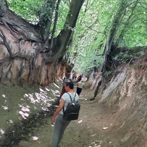 roztocze (62)