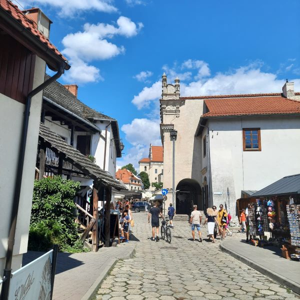 roztocze (65)