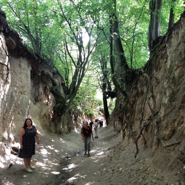 roztocze (70)