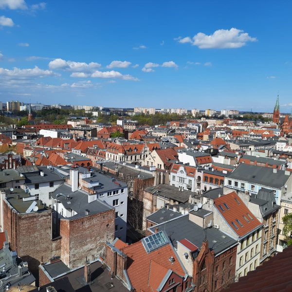 torun (5)